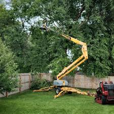 Professional Tree Care  in Sharpsville, PA